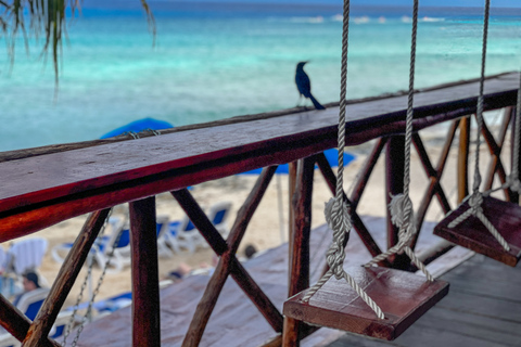 Cozumel: North Shore E-bike äventyr och strandpausCozumel: E-bike-äventyr och strandpaus på norra stranden