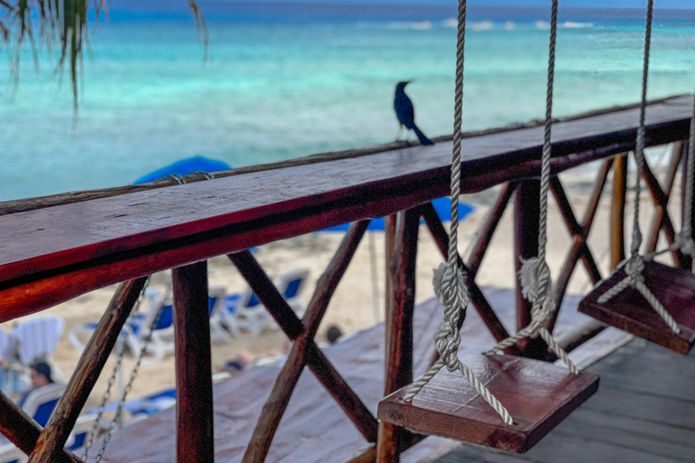 Cozumel: Aventura en bicicleta eléctrica por la costa norte y escapada a la playa