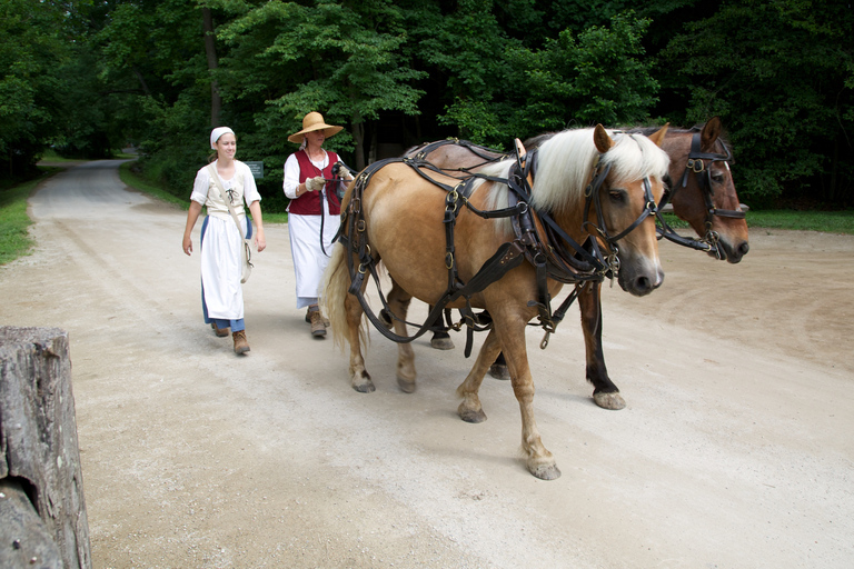 Mount Vernon: La tenuta di George Washington con audioguidaMount Vernon: Grounds Pass per la tenuta di George Washington