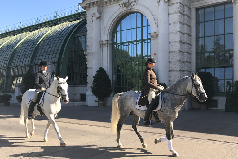 Vienna: City Center Guided Walking Tour