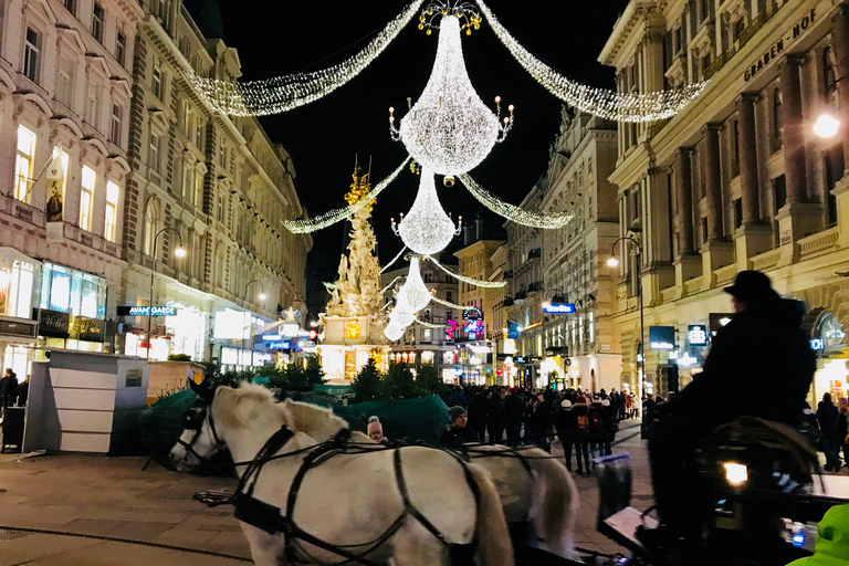 Vienna: City Center Guided Walking Tour