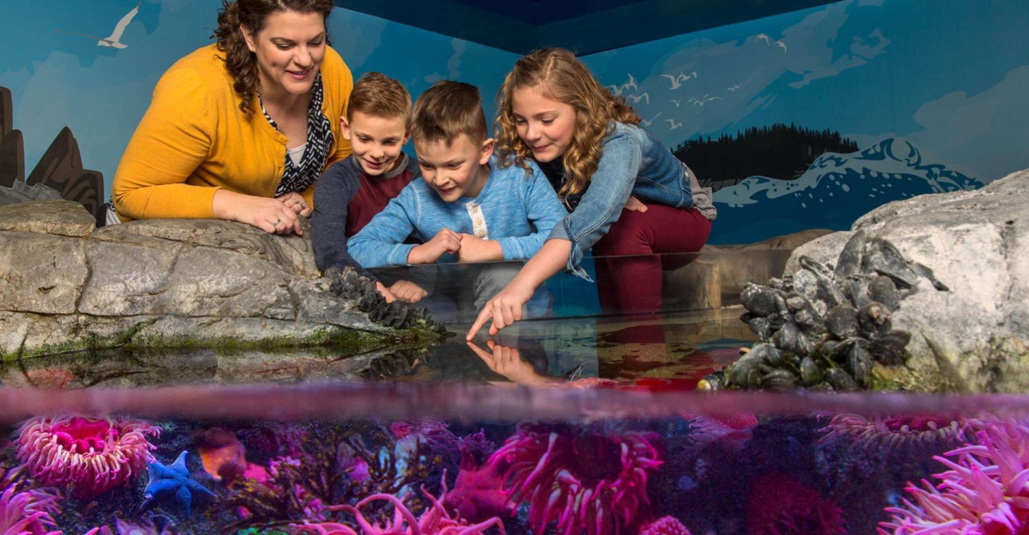 Auburn Hills, Legoland und Sea Life Aquarium Combo Ticket - Hizvo