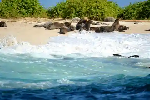 Galapagos: tour di 4 giorni di Santa Cruz e Bahia in pensione completa