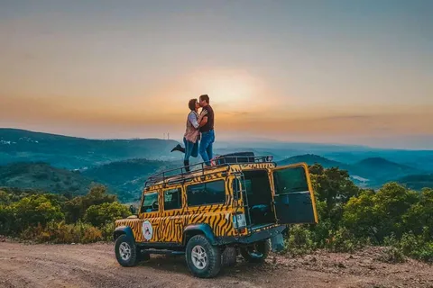Sunset Safari