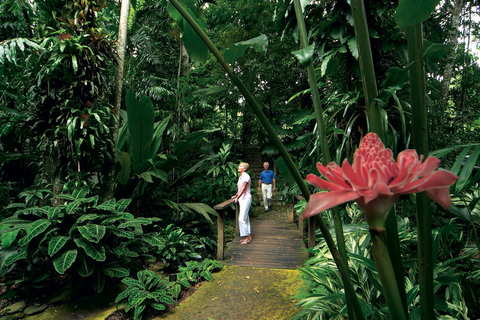 Cairns: visite de l'après-midi avec dîner-croisière en soirée