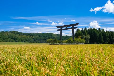Kumano Kodo: Private Full-Day Pilgrimage Trip