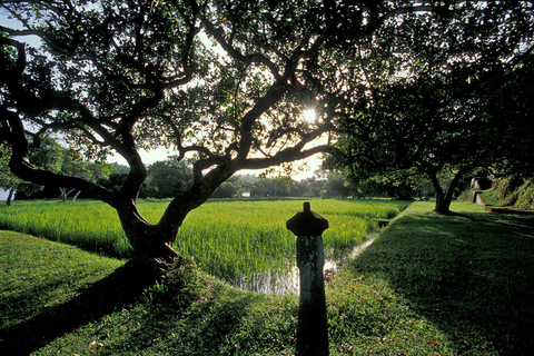 Von Negombo und Colombo aus: Bawa's Estate und kurze Gartentour