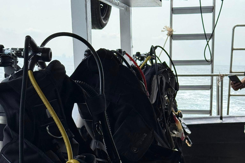 Pattaya: Fun dives in Pattaya and Samaesarn with transfer 3 Dives