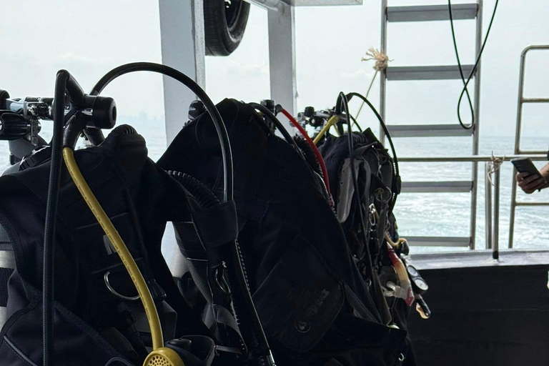 Pattaya: Fun dives in Pattaya and Samaesarn with transfer 3 Dives