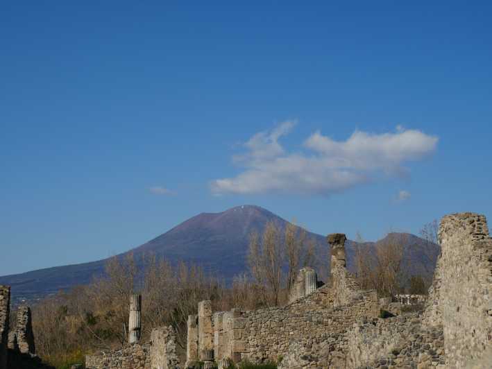 From Rome: Pompeii And Mt. Vesuvius Volcano Full-Day Trip | GetYourGuide