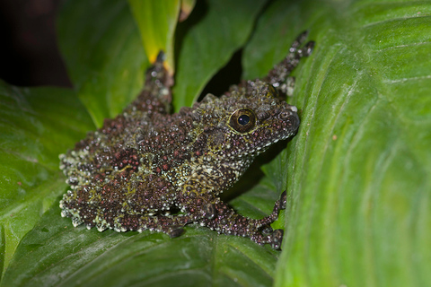 Ticket de entrada al WOW Safari ThoiryTicket de entrada a WOW Safari Thoiry