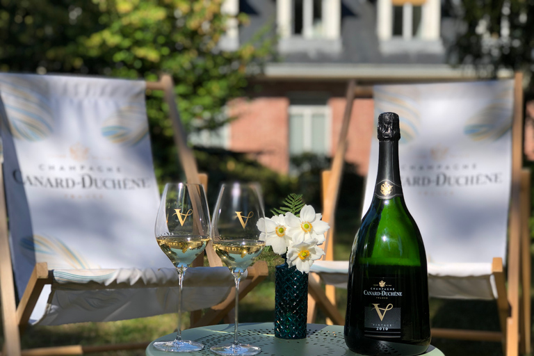 Champagne: Provsmakning av ekologisk champagneEkologisk provning