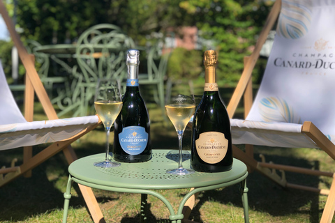 Champagne: Provsmakning av ekologisk champagneEkologisk provning