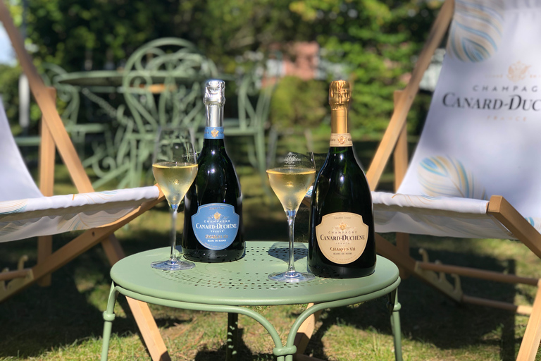 Champagne: Provsmakning av ekologisk champagneEkologisk provning