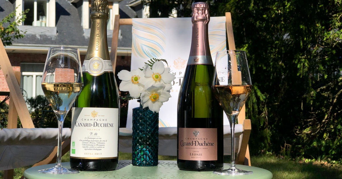 Champagne : Dégustation de champagne biologique | GetYourGuide
