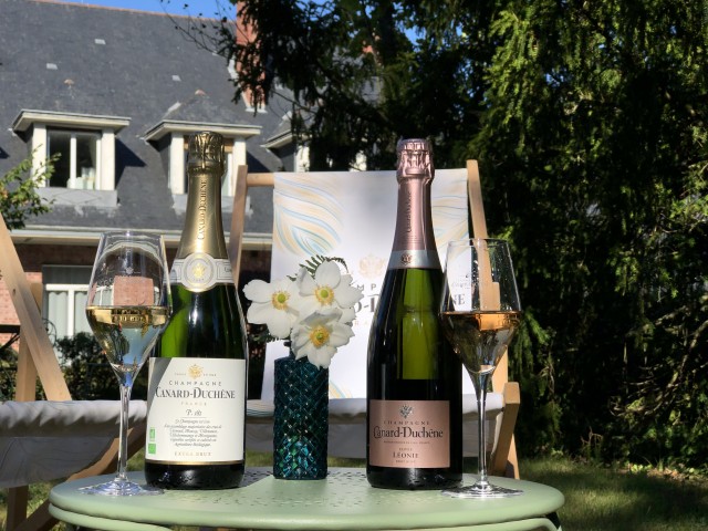 Visit Champagne Organic Champagne Tasting in Châlons-en-Champagne
