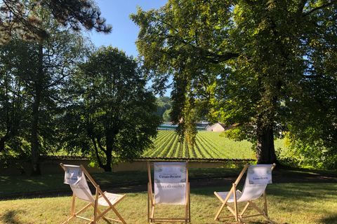 Champagne: Provsmakning av ekologisk champagneEkologisk provning