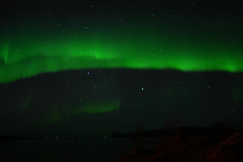 De Tromsø: Excursão à aurora boreal com bebidas quentes e fotos