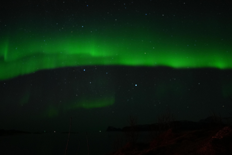 From Tromsø: Northern Lights Tour with Hot Drinks and Photos