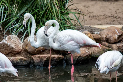 Monde des oiseaux et sanctuaire animalier