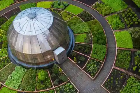 Excursão a pé pelo Jardim Botânico José Celestino Mutis 3 horas