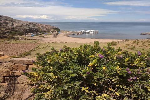 Puno : Journée complète sur les îles flottantes des Uros + Taquile + guide parlant anglais/espagnol