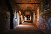 De Timisoara, Corvin Castle et Turda Salt Mine Day Trip - Housity