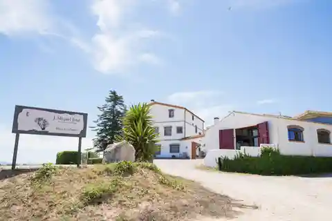 Vilafranca del Penedès: Vingårdsbesøg med smagninger