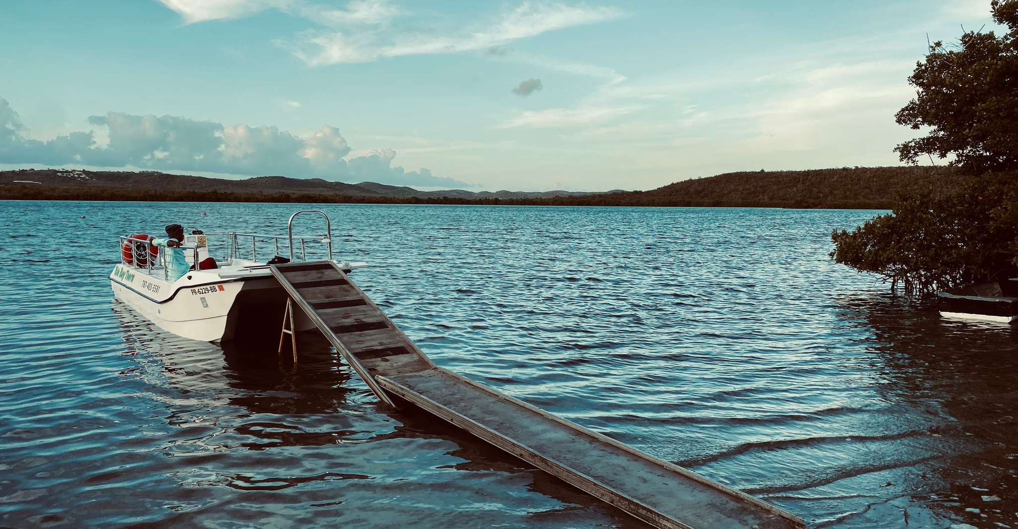 Vieques, Bioluminescent Bay Boat Tour - Housity