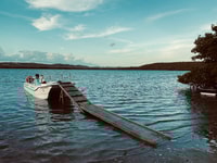Vieques, Bioluminescent Bay Boat Tour - Housity