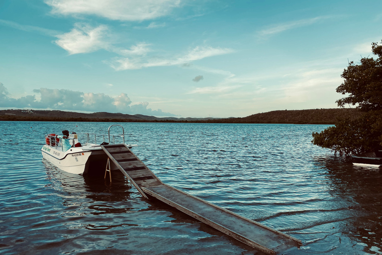 Vieques: excursion en catamaran dans la baie bioluminescente