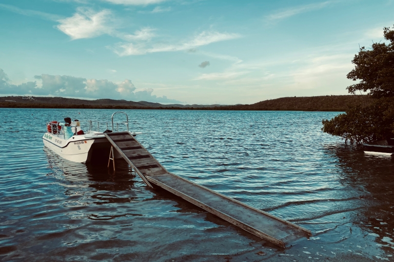 Vieques: tour en catamarán por la bahía bioluminiscente