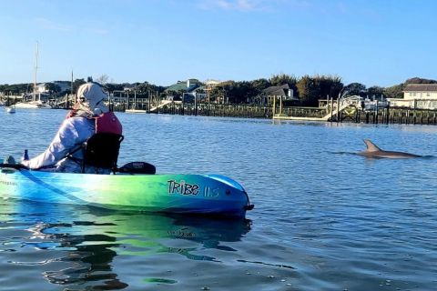 St. Augustine: Eco Dolphin Kayak Tour in The Salt Run