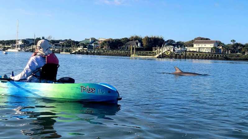 St. Augustine: Deluxe Dolphin-Watching Kayak Tour