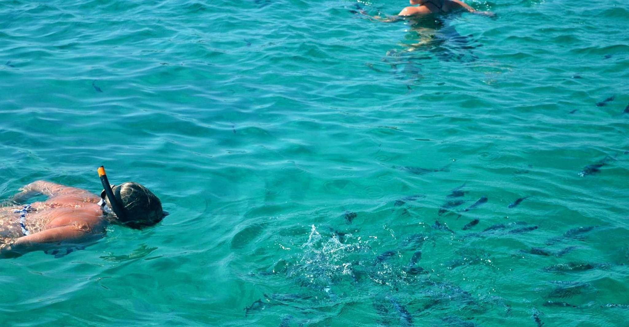 From Porto-Vecchio, Lavezzi Archipelago Sightseeing Cruise - Housity