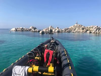 Desde Porto-Vecchio, el archipiélago de Lavezzi, Sightseeing Cruise - Housity
