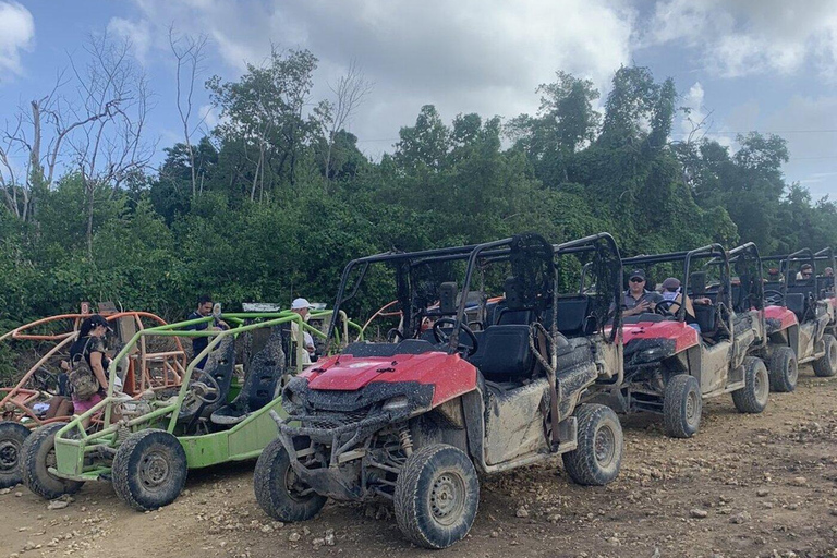 Private: Punta Cana: ATV, Horseback Riding, and Cenote Tour
