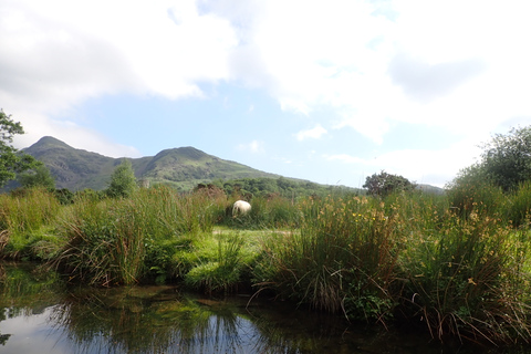 Snowdonia: Llyn Padarn begeleid gezinskajakavontuur