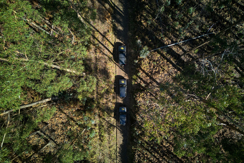 Tropical Tide, Porto Moniz & Fanal Forest 4WD Jeep Tour