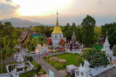 Chiang Mai: Temple Visit & Elephant Nature Observation