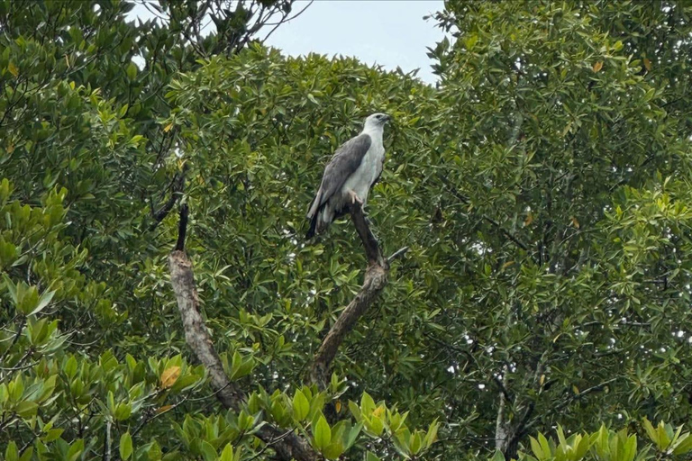 Langkawi: Kilim Geoforest River Cruise with Local Food Tour