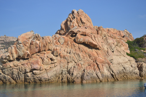 Desde Porto Vecchio: Escapada a Cerdeña con bebidas