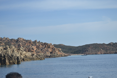 Från Porto Vecchio: Utflykt till Sardinien med drycker