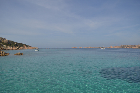 Von Porto Vecchio: Ausflug nach Sardinien mit Getränken