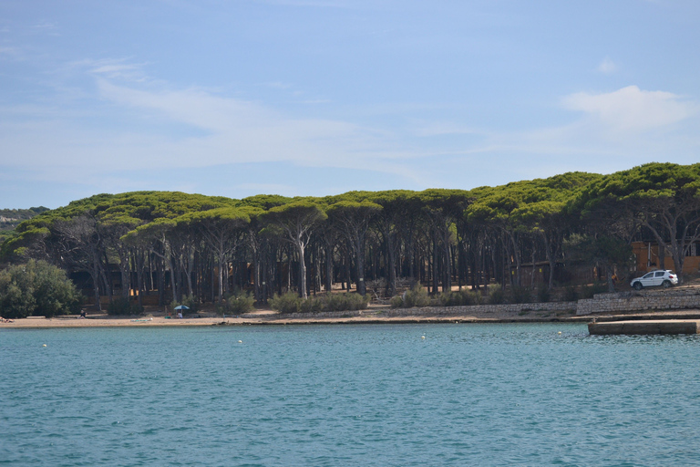 Vanuit Porto Vecchio: Ontsnappingsexcursie naar Sardinië met drankjesVan Porto Vecchio: ontsnappingsexcursie naar Sardinië met drankjes