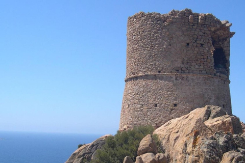 Au départ de Santa GuiliaExcursion d&#039;une journée de croisière et de plongée en apnée dans le Grand SudAu départ de Santa Guilia Excursion d&#039;une journée pour la croisière GR