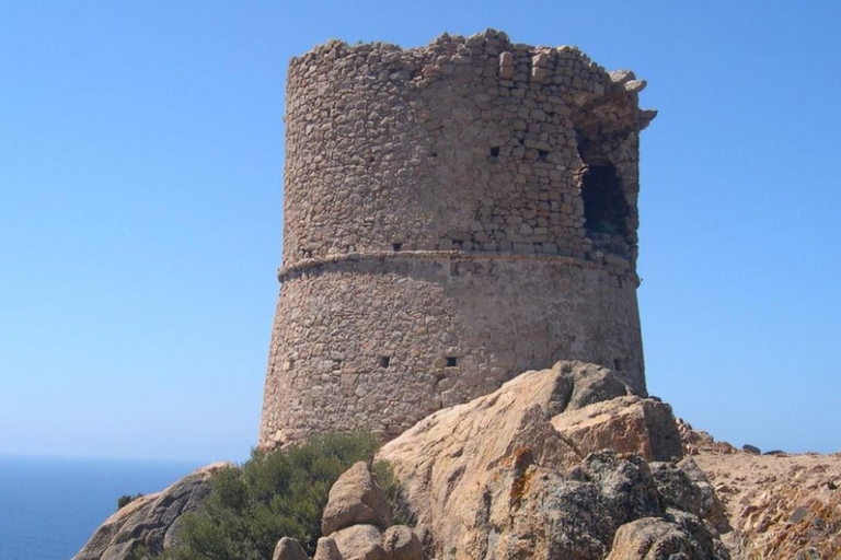 Au départ de Santa GuiliaExcursion d&#039;une journée de croisière et de plongée en apnée dans le Grand SudAu départ de Santa Guilia Excursion d&#039;une journée pour la croisière GR