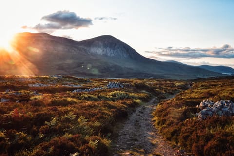 From Edinburgh: Loch Ness, Inverness, and Highlands Day Tour