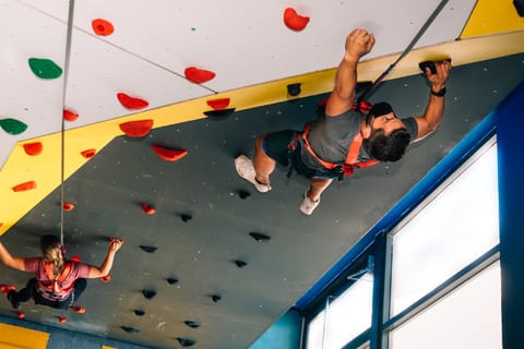 Parco urbano di Toro Verde: ingresso con zipline e opzioni di arrampicata