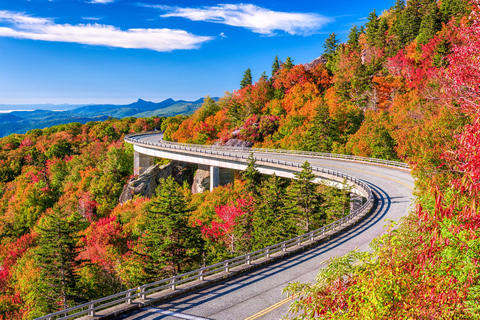 Blue Ridge Parkway  Maggie Mills Photography